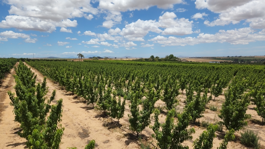 Commercial Property for Sale in Paarl Rural Western Cape